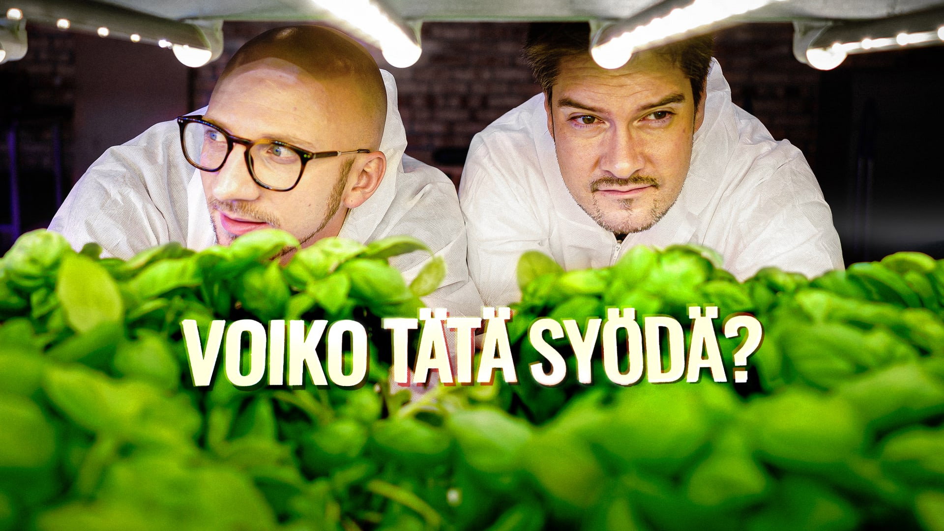 Voiko tätä syödä?