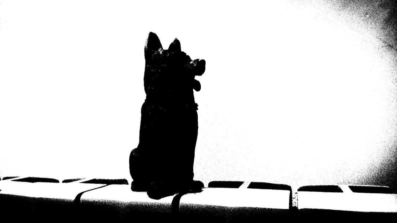 The Dog of Sarandi Alley