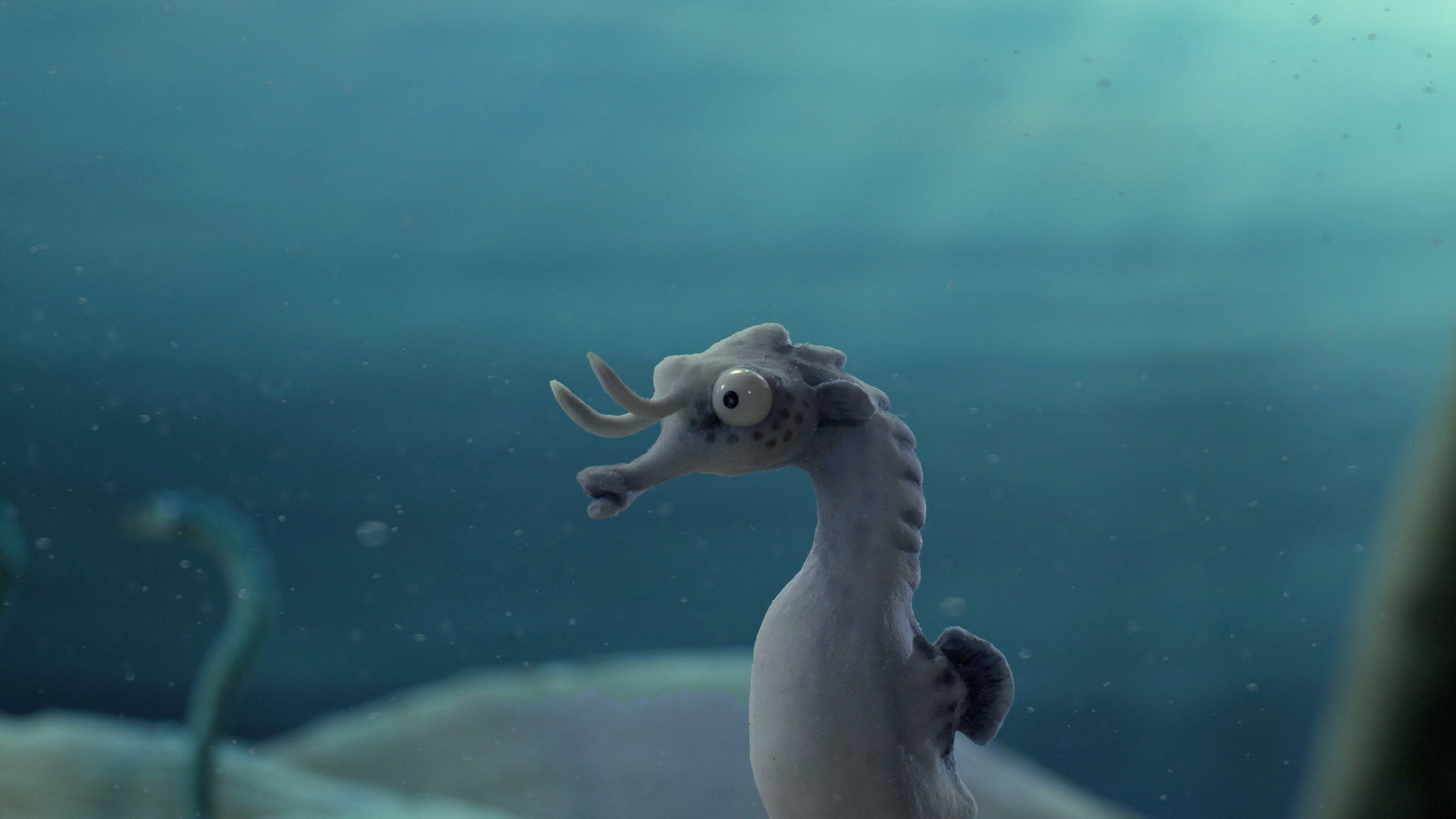 The Lost Seahorse