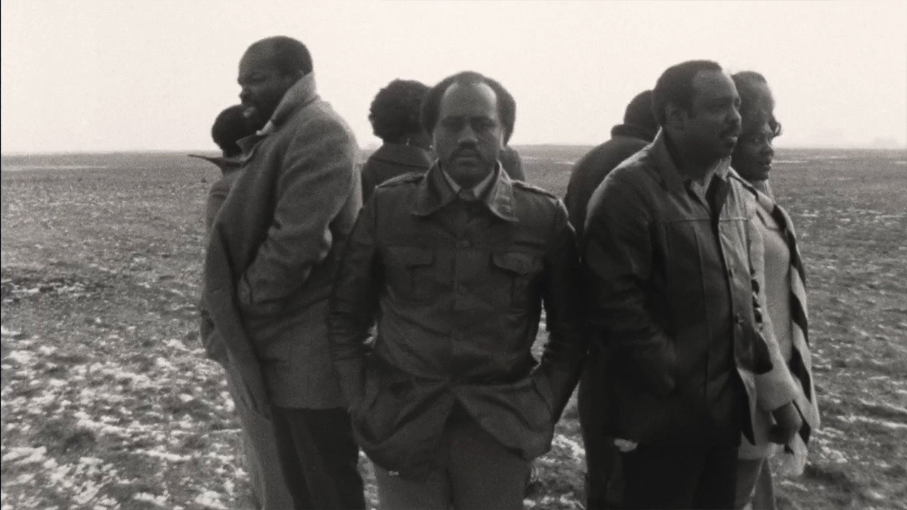Surinamese in The Netherlands: The Return of the Black Gold