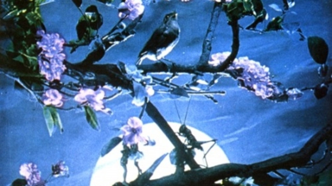 Voice of the Nightingale