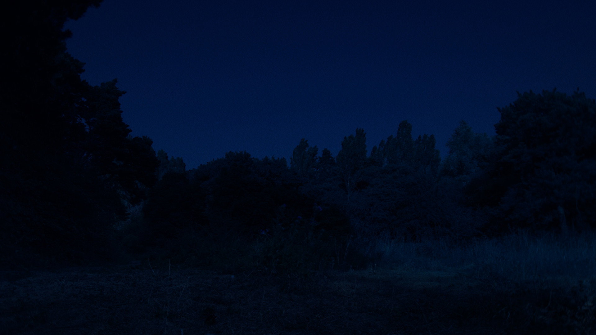 HOLLOW.