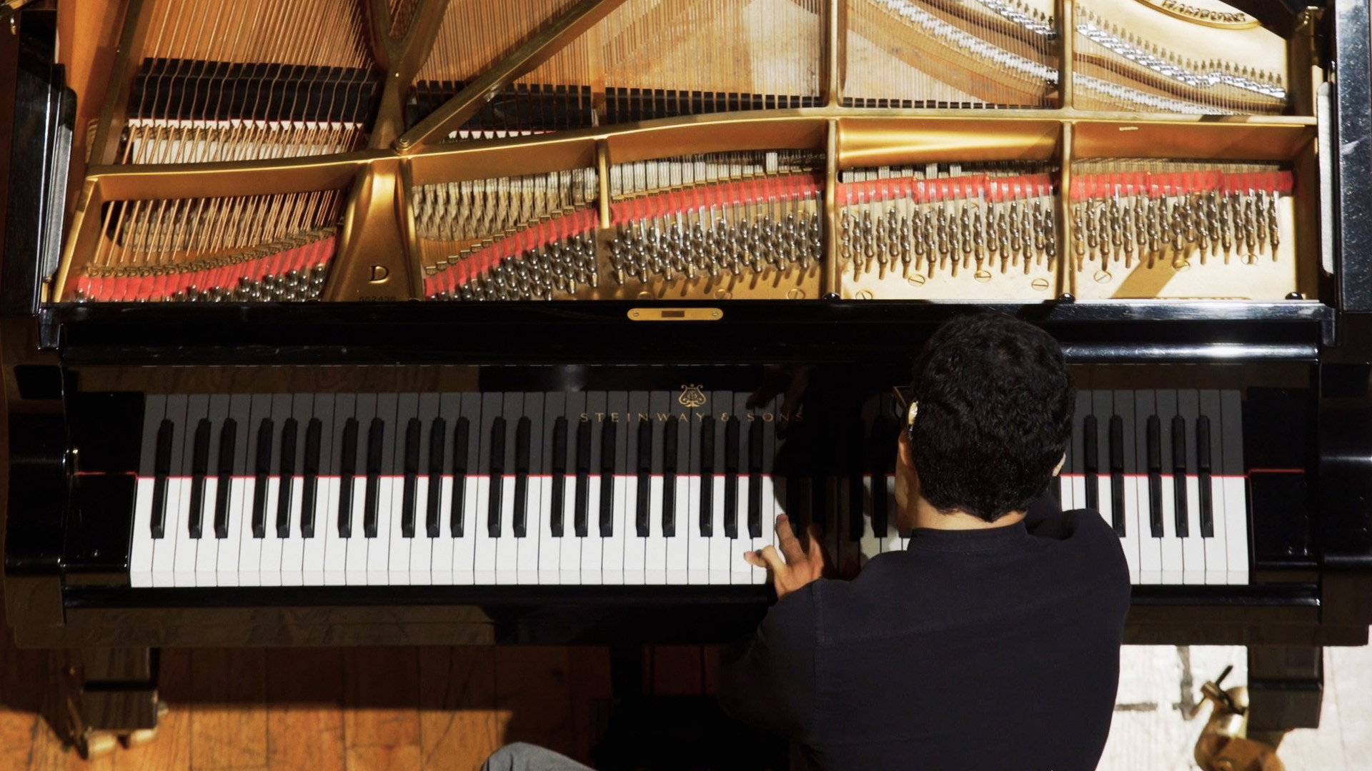 Concerto For Other Hands