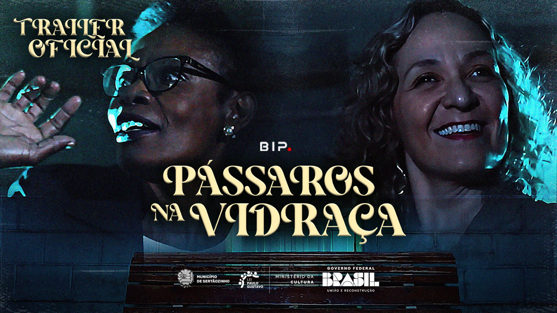 Pássaros na Vidraça