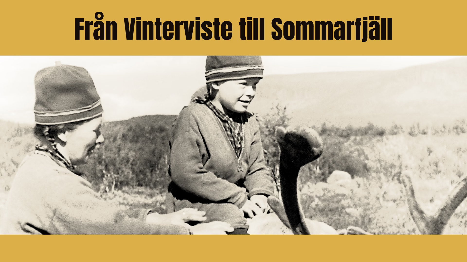 Från vinterviste till sommarfjäll