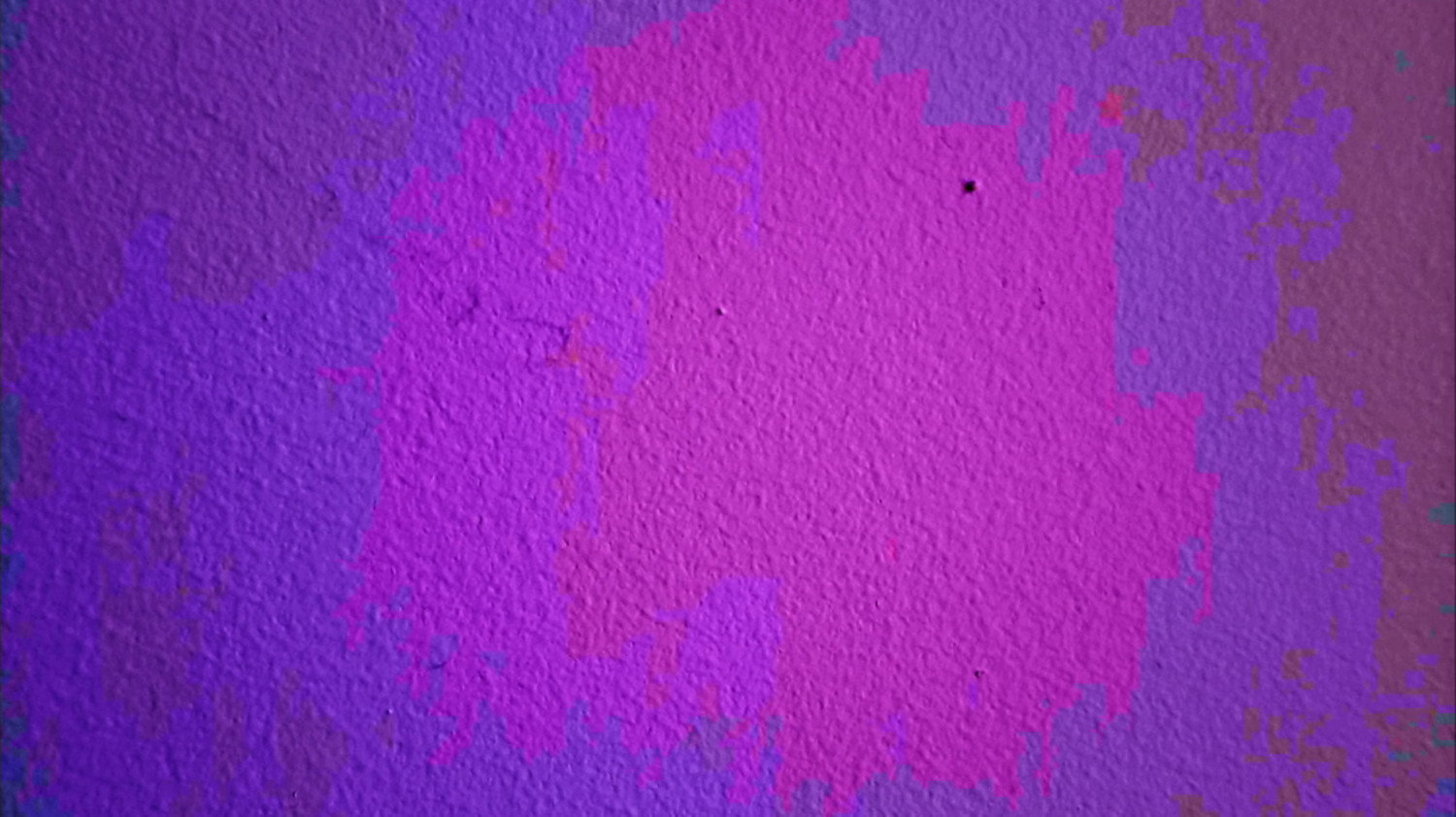 a tiny bug crawls across a wall