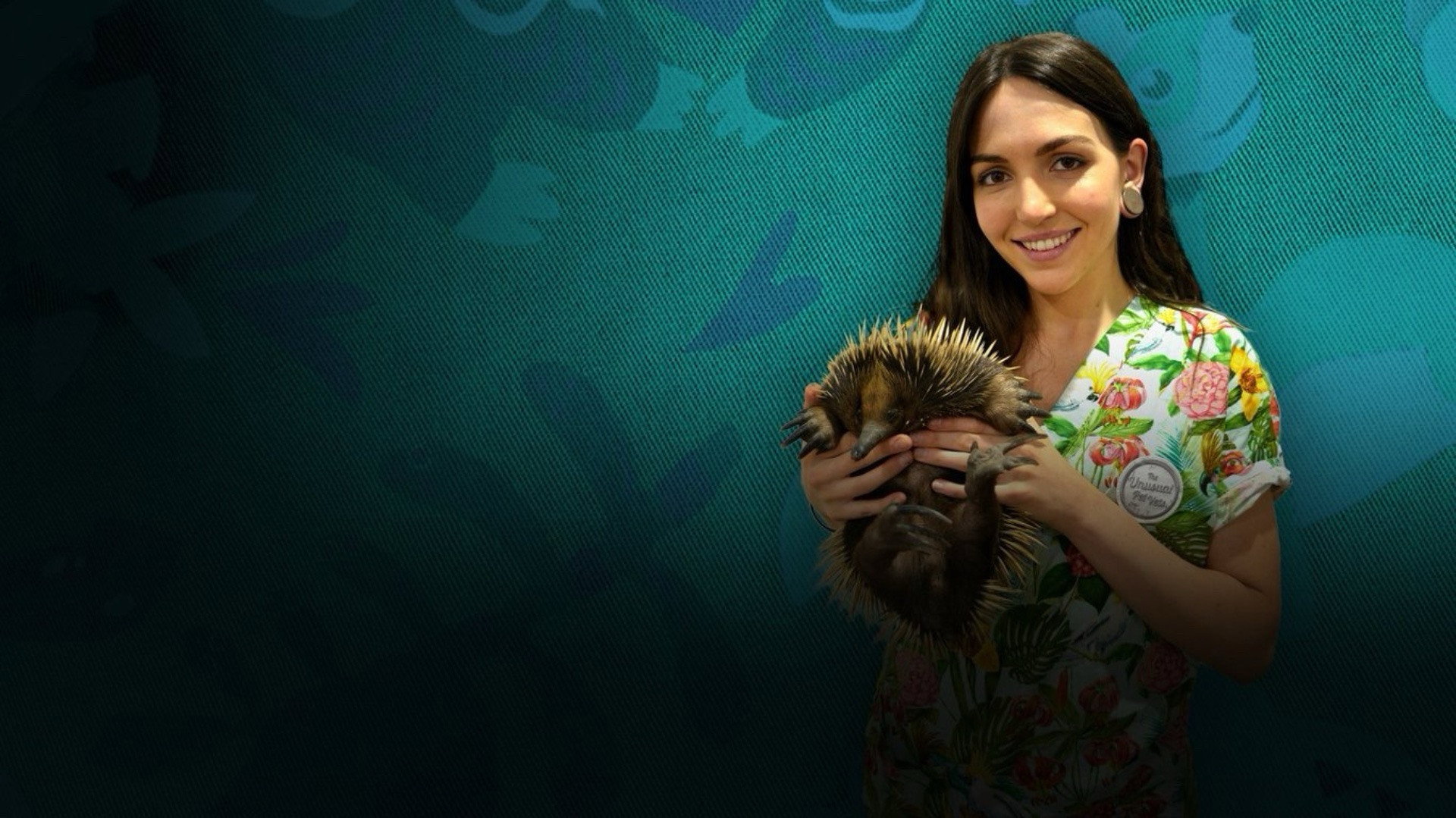 The Bizarre Pet Vets