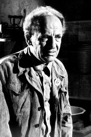 Notis Peryalis