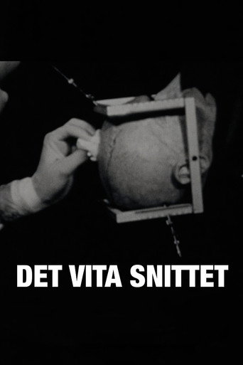 Det vita snittet