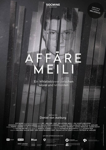 Die Affรคre Meili