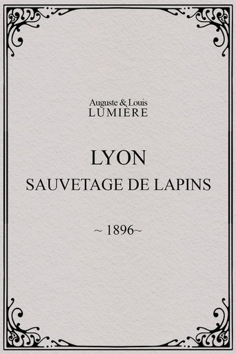 Lyon : sauvetage de lapins