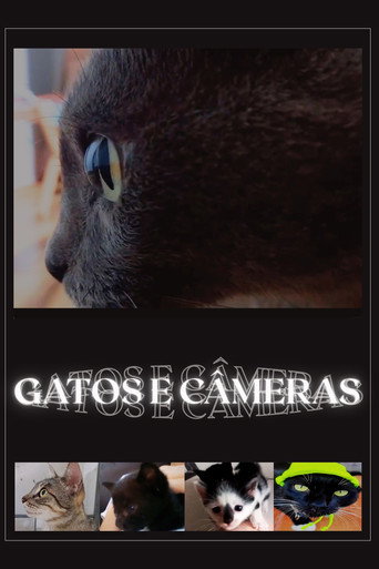 Cats and Cameras