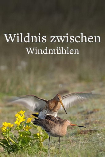 Wildlife in Windmill Country