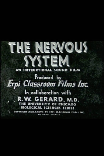 The Nervous System