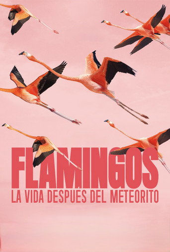 Flamingos: Life After the Meteorite