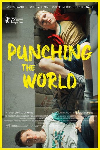 Punching the World
