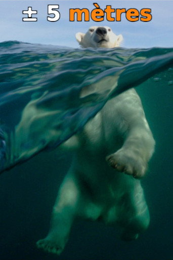 ± 5 Meters From the Surface of the Oceans