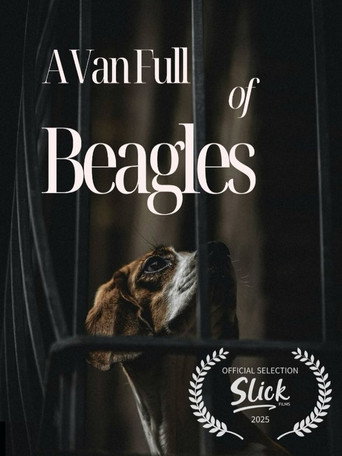 A Van Full of Beagles