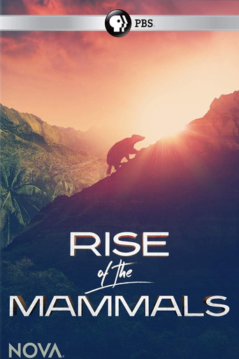 Rise of the Mammals