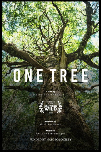 Un Árbol