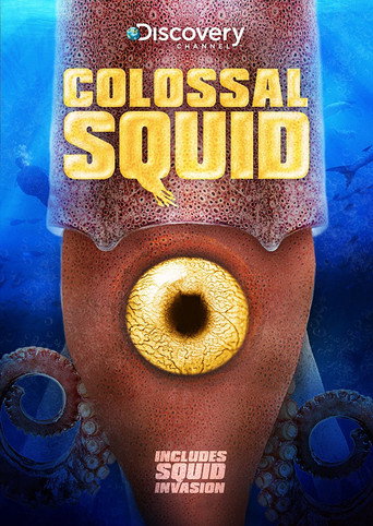Colossal Squid