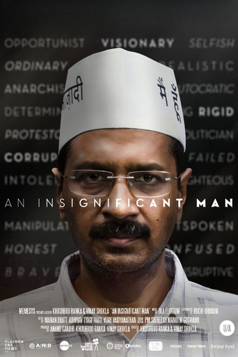An Insignificant Man