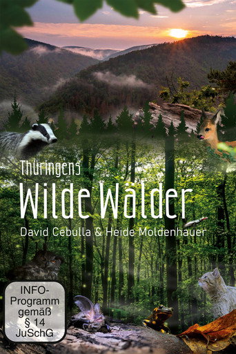 Wild Forests