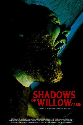 Shadows of Willow Cabin