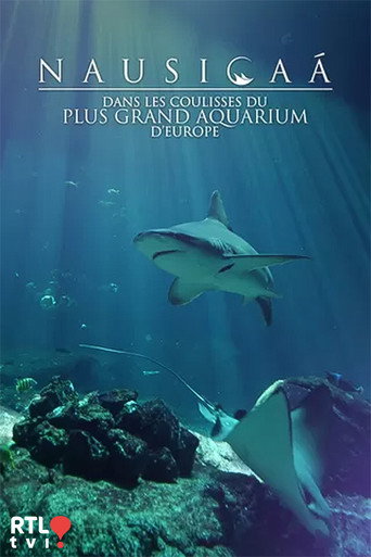 Nausicaá : Dans les coulisses du plus grand aquarium d'Europe