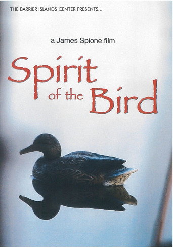 Spirit of the Bird