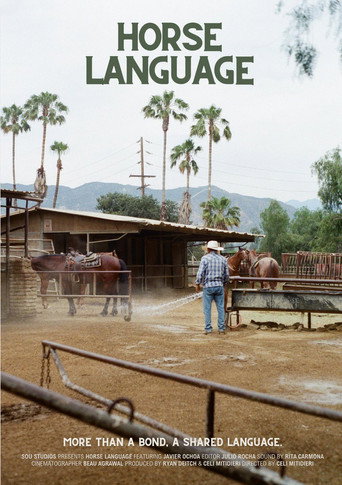 Horse Language