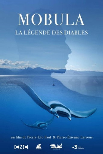 Mobula, la légende des diables