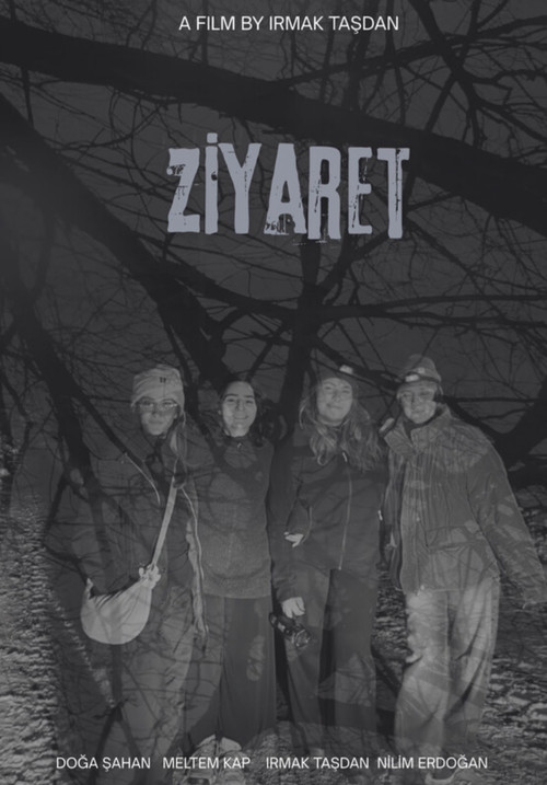 Ziyaret
