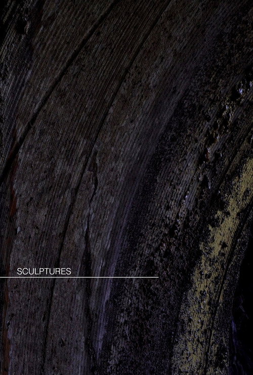 Sculptures [short]