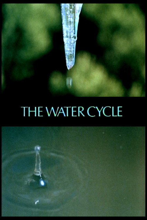 The Water Cycle