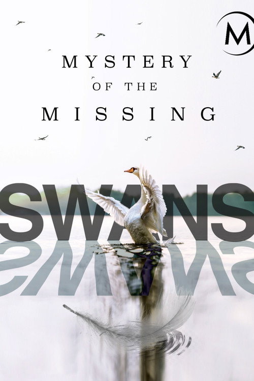 Swans: Mystery of the Missing