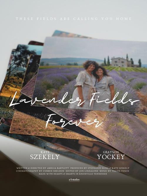 Lavender Fields Forever