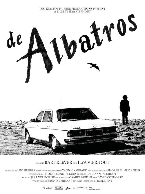 The Albatross