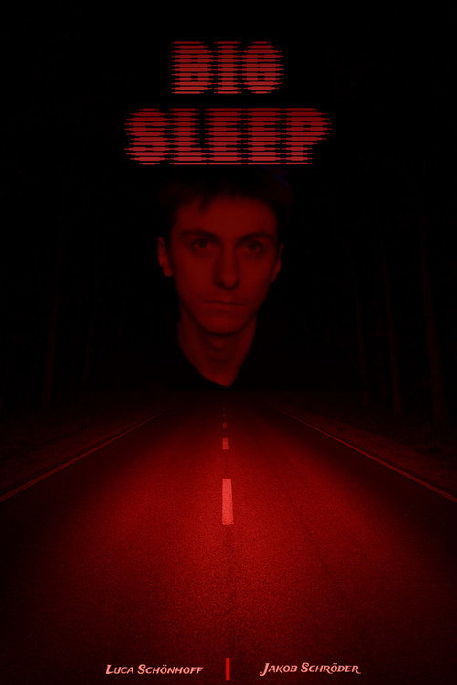 BIG SLEEP