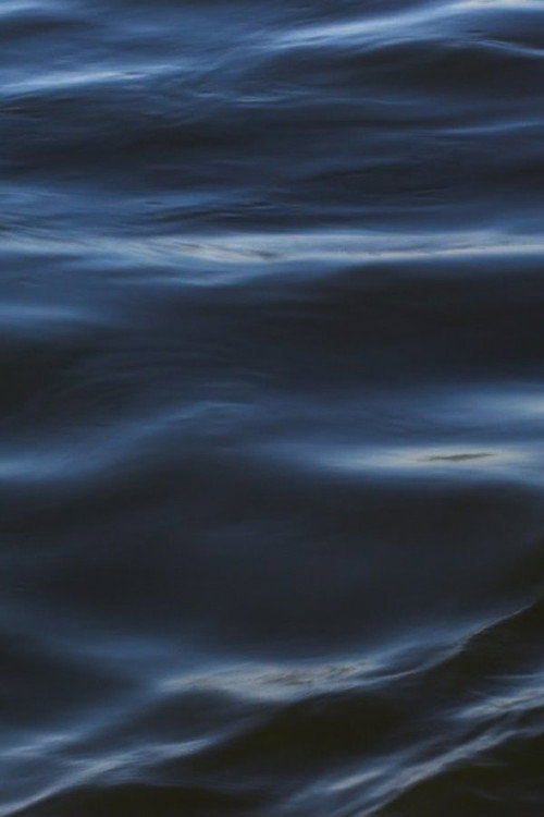 The Flood