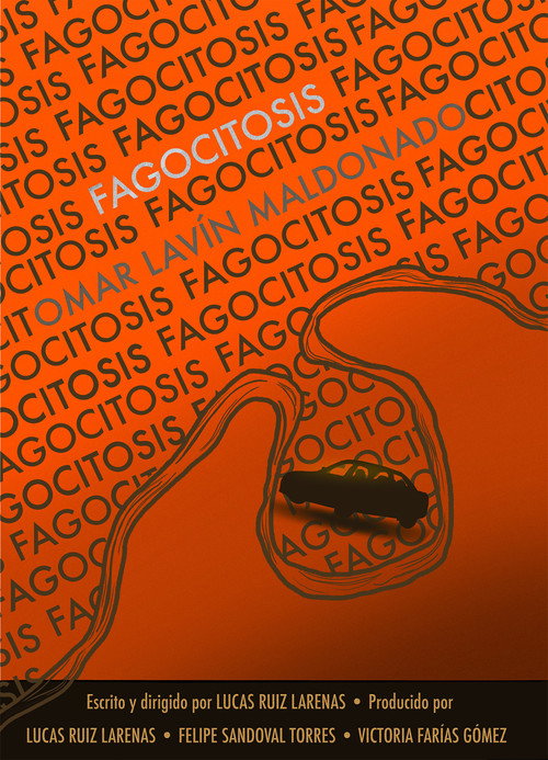 Fagocitosis