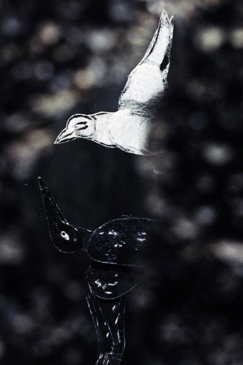 Der lange Weg