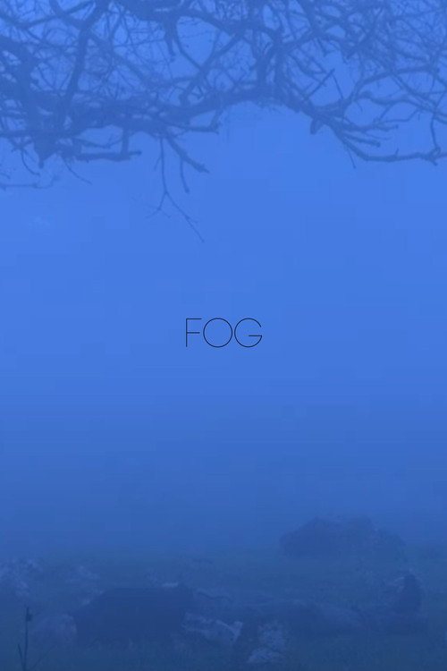 Fog