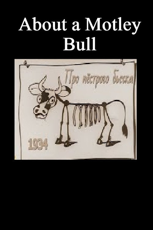 About a Motley Bull