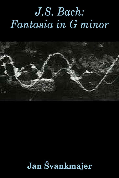 J.S. Bach: Fantasia in G minor