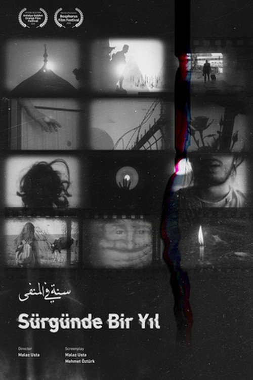 A Year in Exile