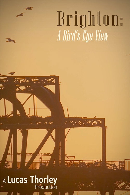Brighton: A Bird's Eye View