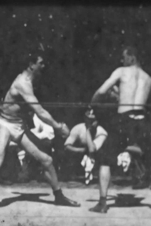 Boxing Match