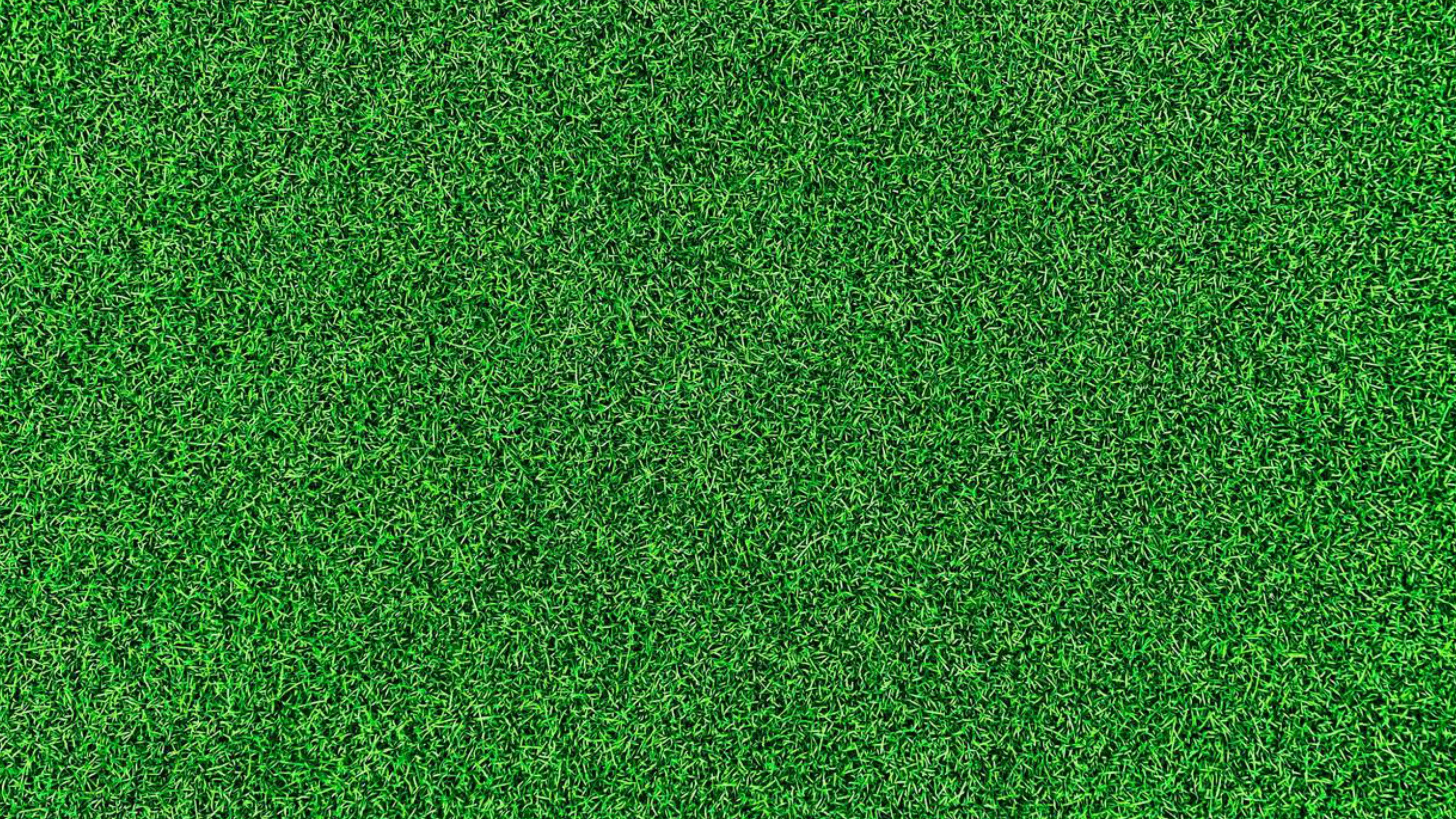 Life on the Green
