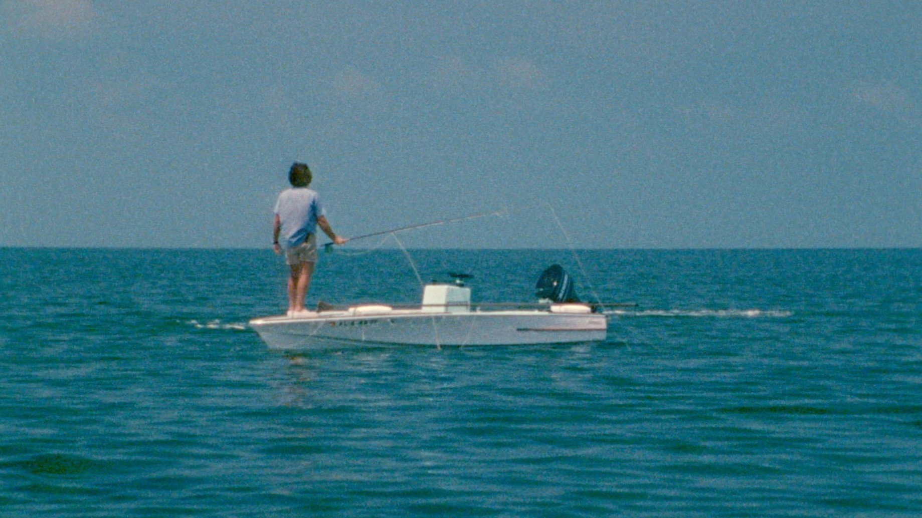 Tarpon